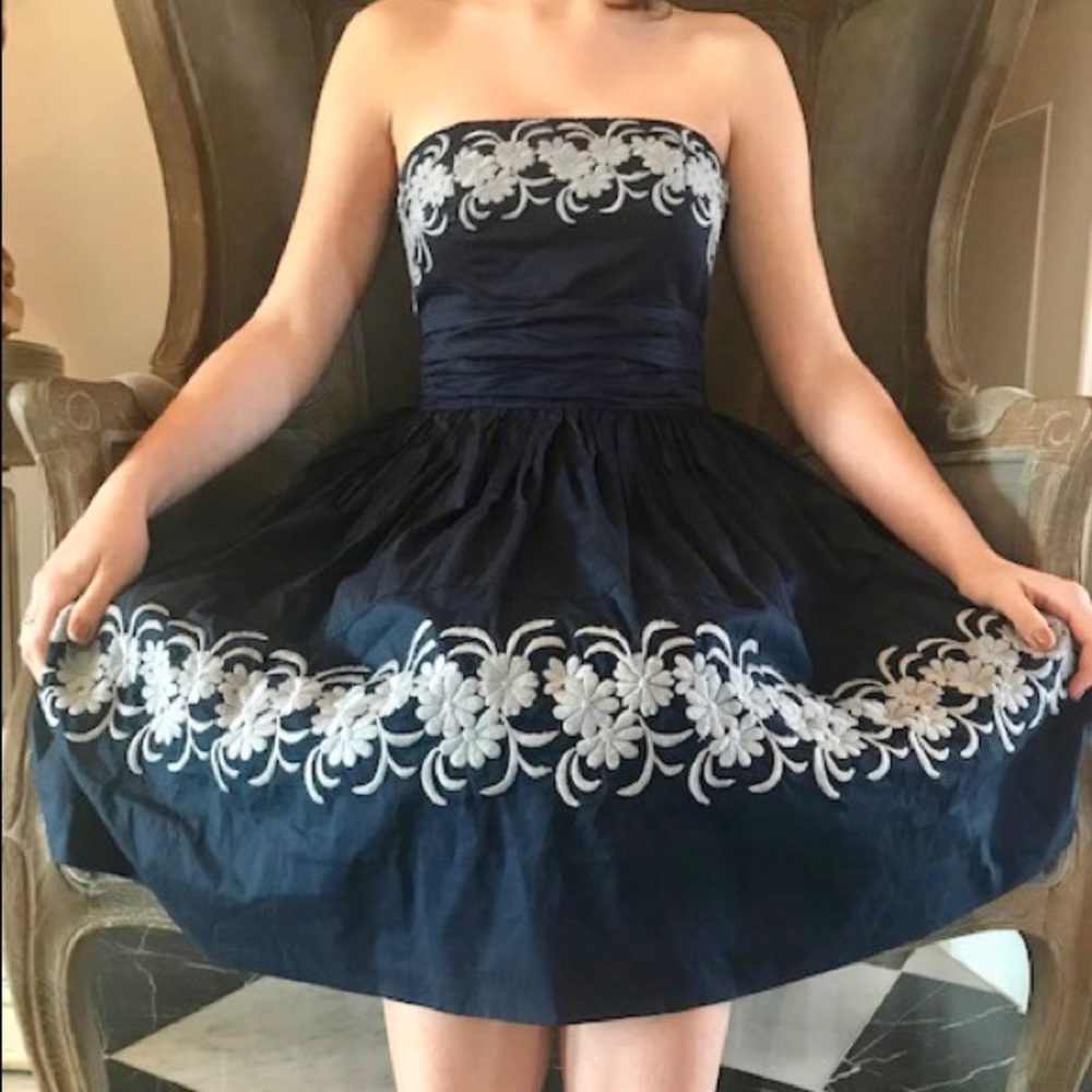 Navy and silver Anthropologie dress🦕🦕🦕